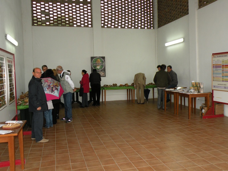 DSCN8476.JPG